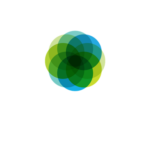 Center for Survivor Agency & Justice logo